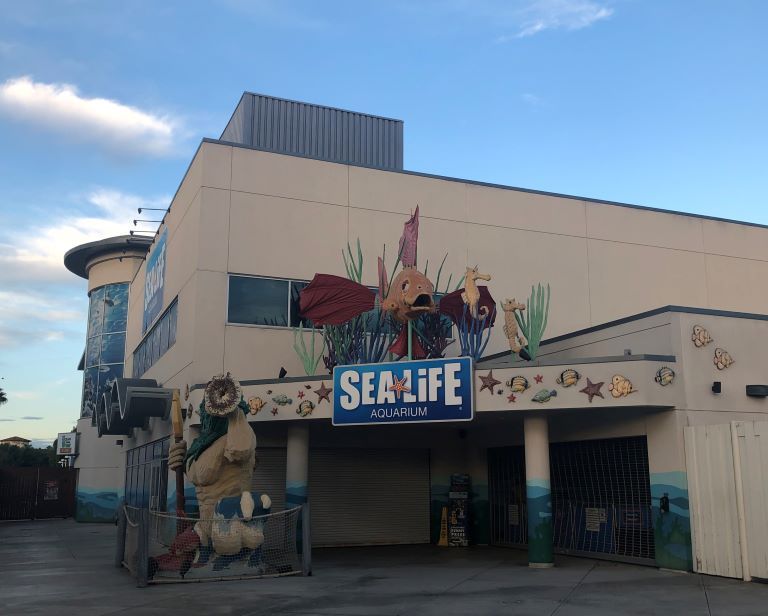 sea life aquarium