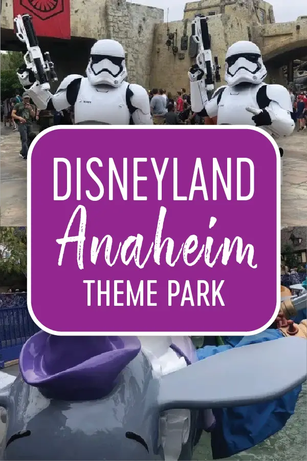 Disneyland Anaheim Theme Park Pin