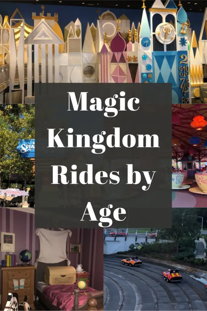Magic Kingdom Rides by Age Pin
