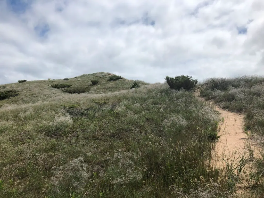 Pictures of Sleeping Bear Dunes