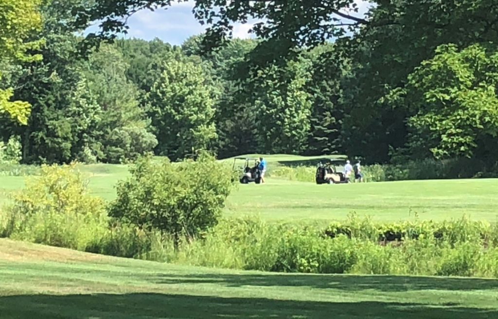 Crystal Mountain Golf Michigan