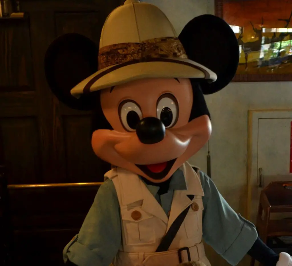 Theme park attractions travel Mickey