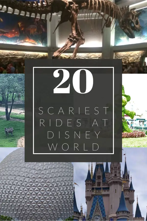 Scary Rides Disney World Pin