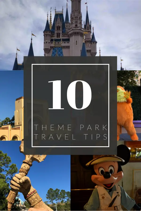 Theme Park Travel Tips Pin