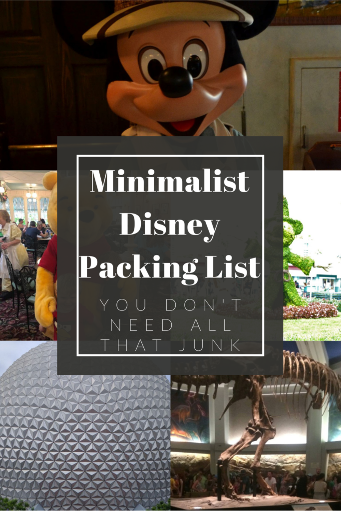 Minimalist Disney Packing List Pin