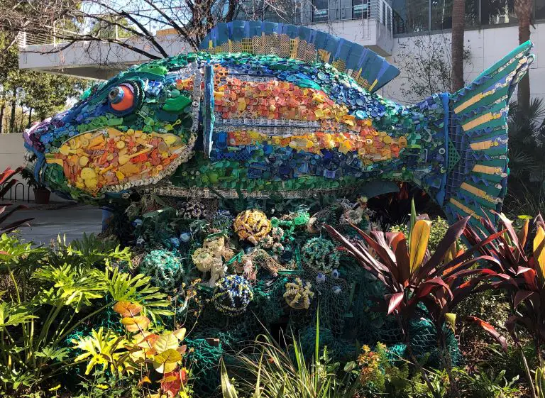 The Florida Aquarium Tips Fish