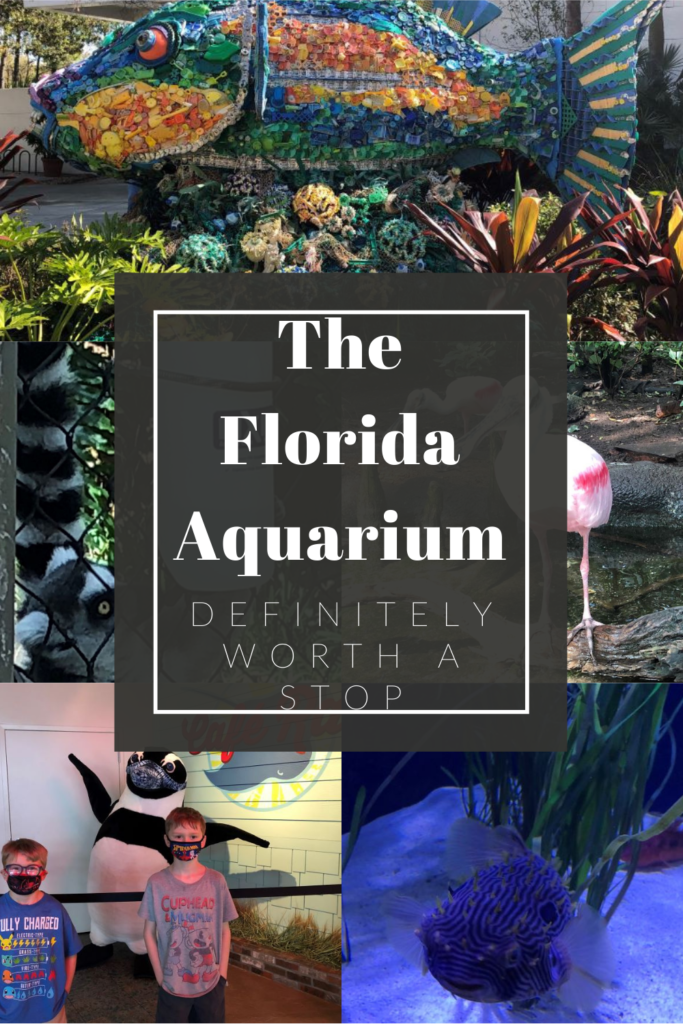 The Florida Aquarium Tips Pin