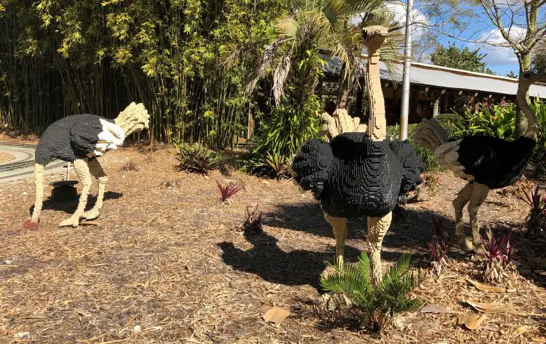 LEGOLAND Florida USA Ostrich