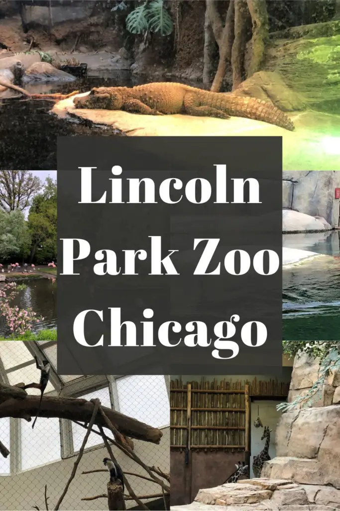Lincoln Park Zoo Tips Pin