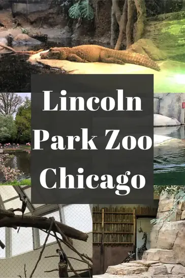 Lincoln Park Zoo Tips: Maximize Your Day - Put on Your Party Pants