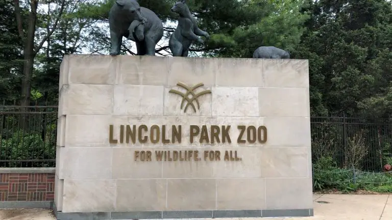 Lincoln Park Zoo Tips: Plan Your Day and Save on Extras