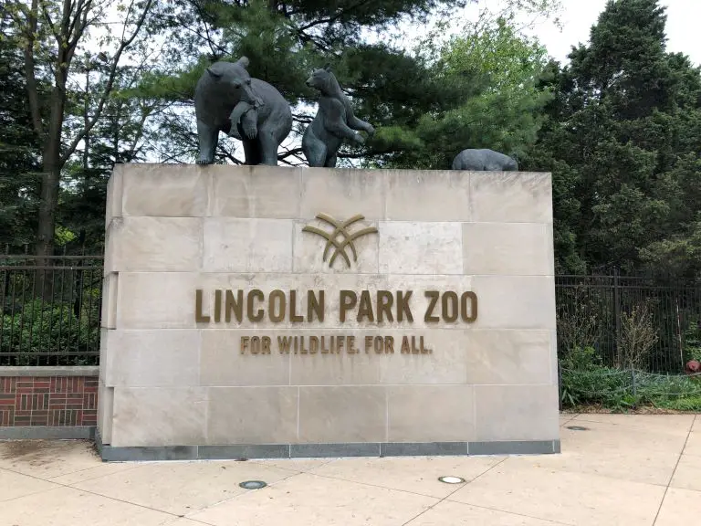 Lincoln Park Zoo Tips: Plan Your Day and Save on Extras