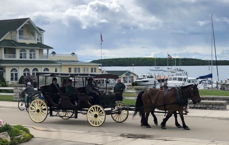 horse taxi