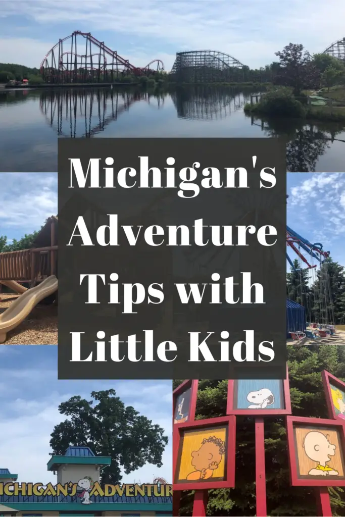 Michigan's Adventure Tips Pin