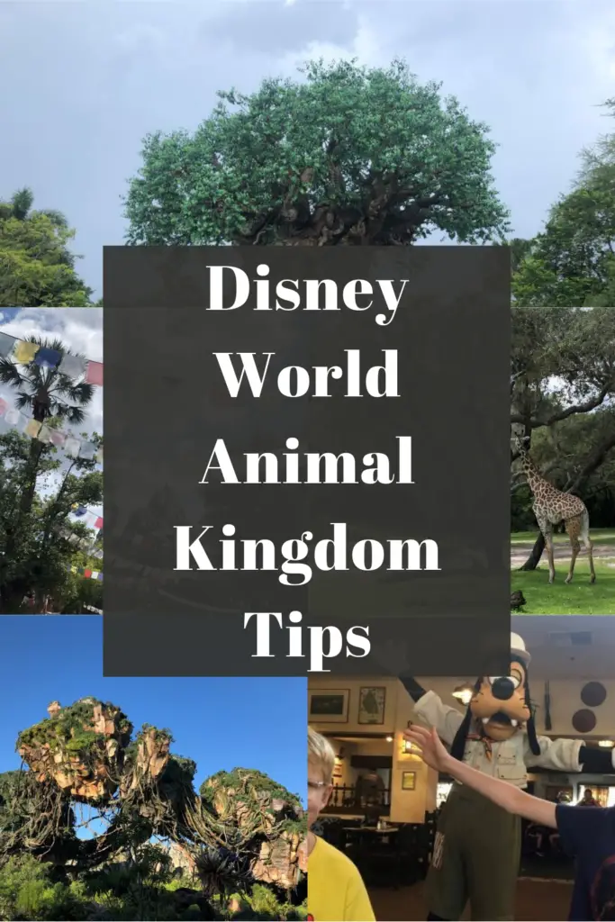 Animal Kingdom Tips Pin