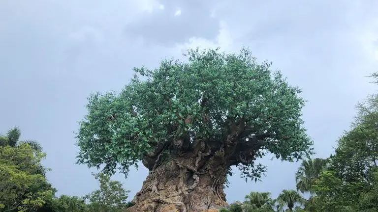 Animal Kingdom Tips Tree of Life