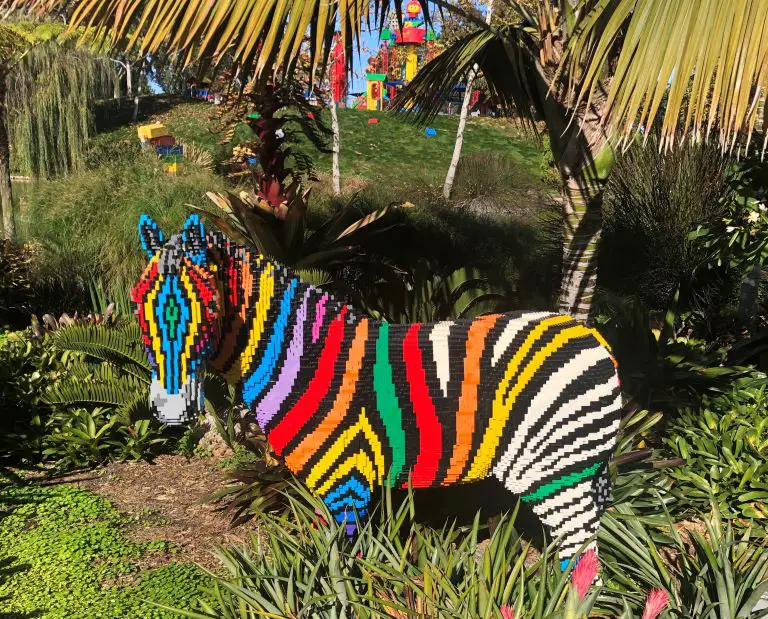 legoland california resort zebra