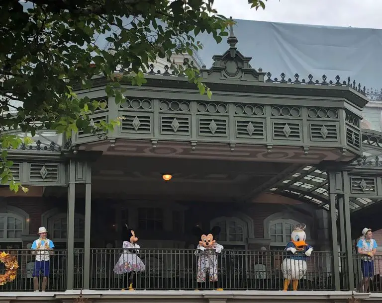 Magic Kingdom characters