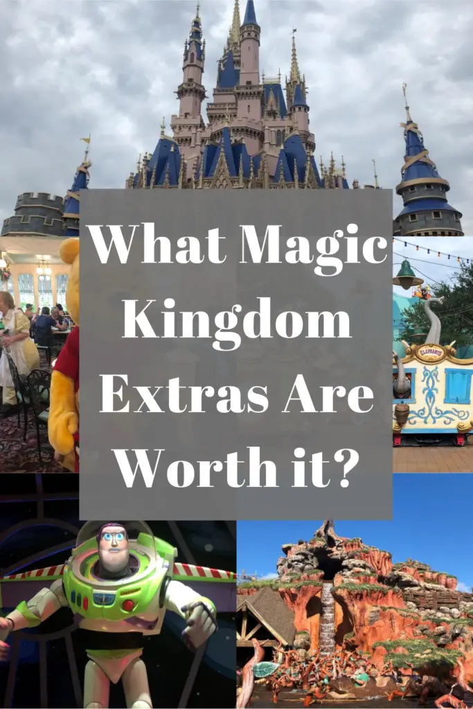 Magic Kingdom Extras Pin
