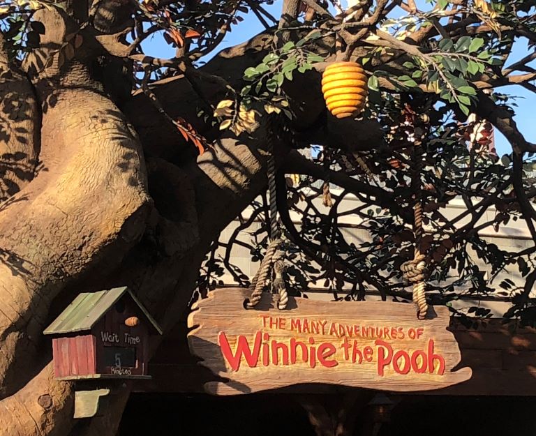 disney world orlando magic kingdom rides winnie the pooh