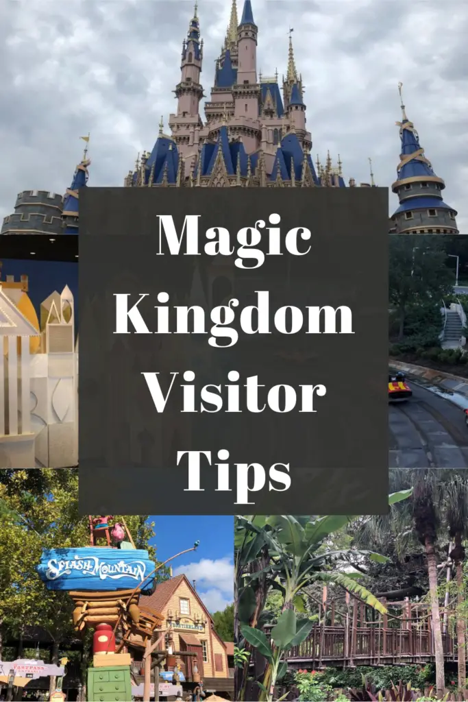 Magic Kingdom Tips Pin