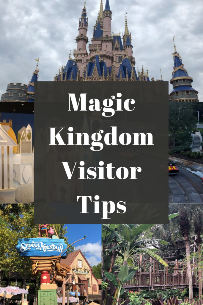 Magic Kingdom Tips Pin