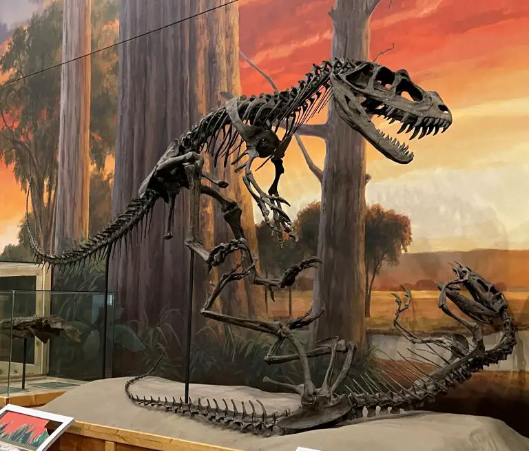 eccles dinosaur museum ogden skeleton