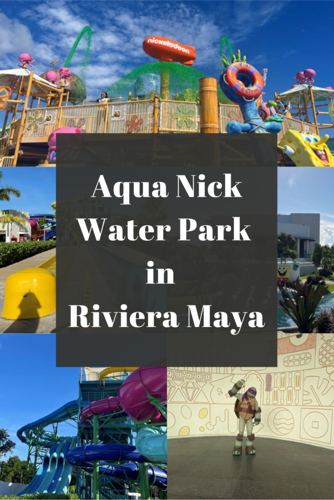 aqua nick riviera maya pin