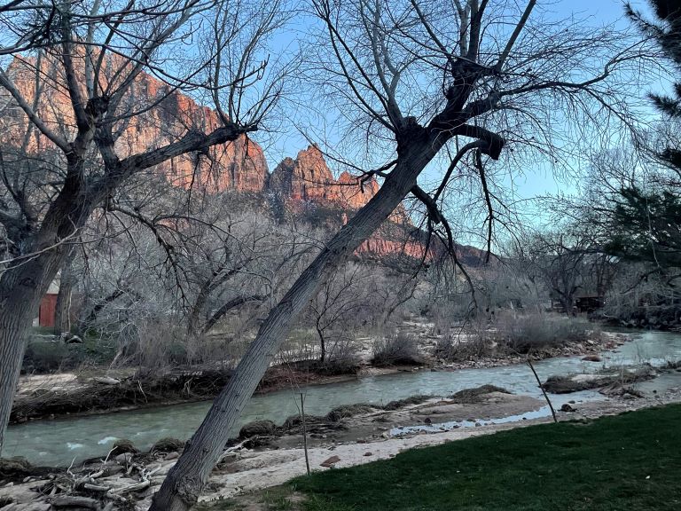 cliffrose springdale zion river