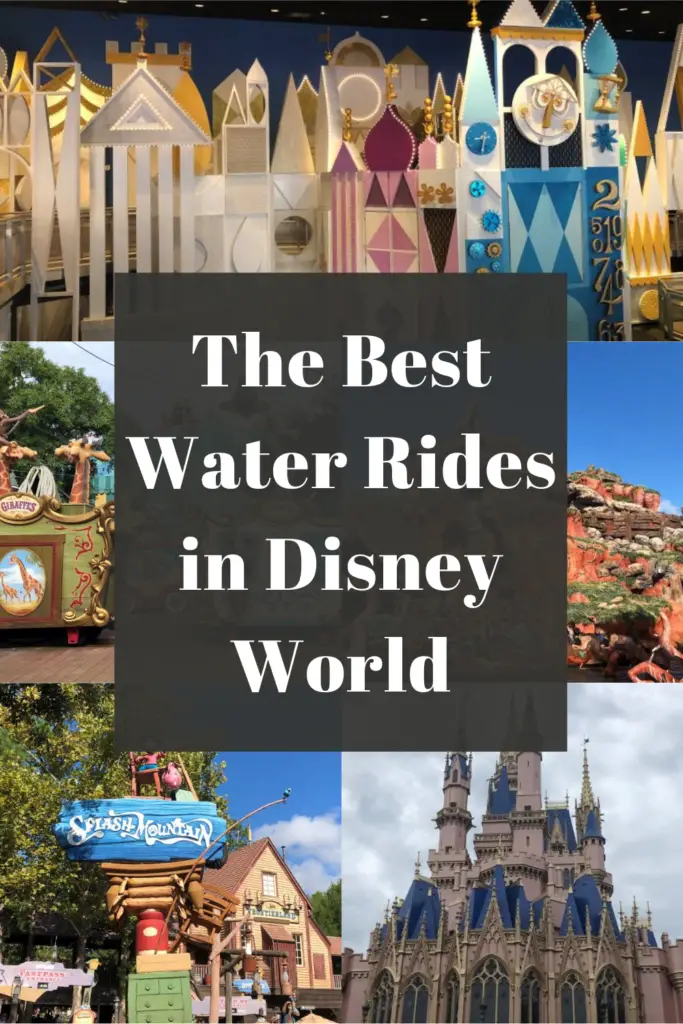Water Rides in Disney World pin