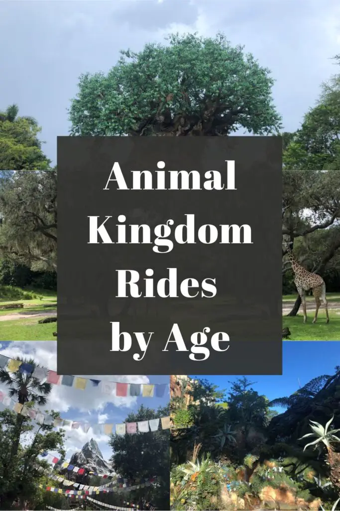 animal kingdom rides by age pin