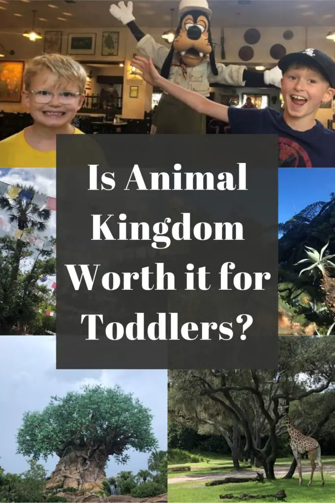 is animal kingdom worth it for toddlers pin