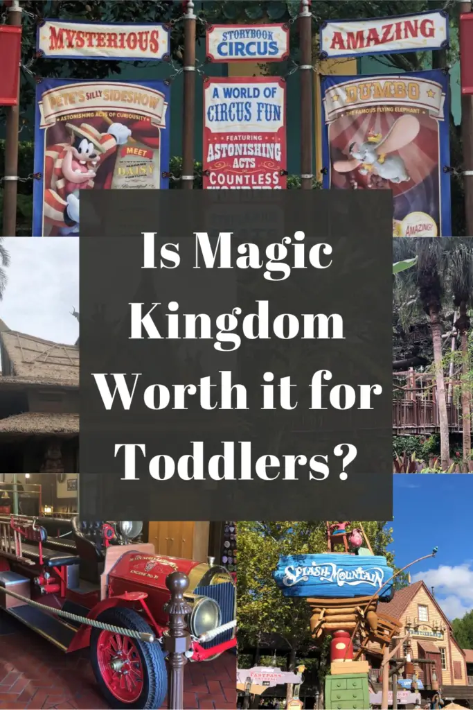 Is Magic Kingdom Worth it for Toddlers Pin