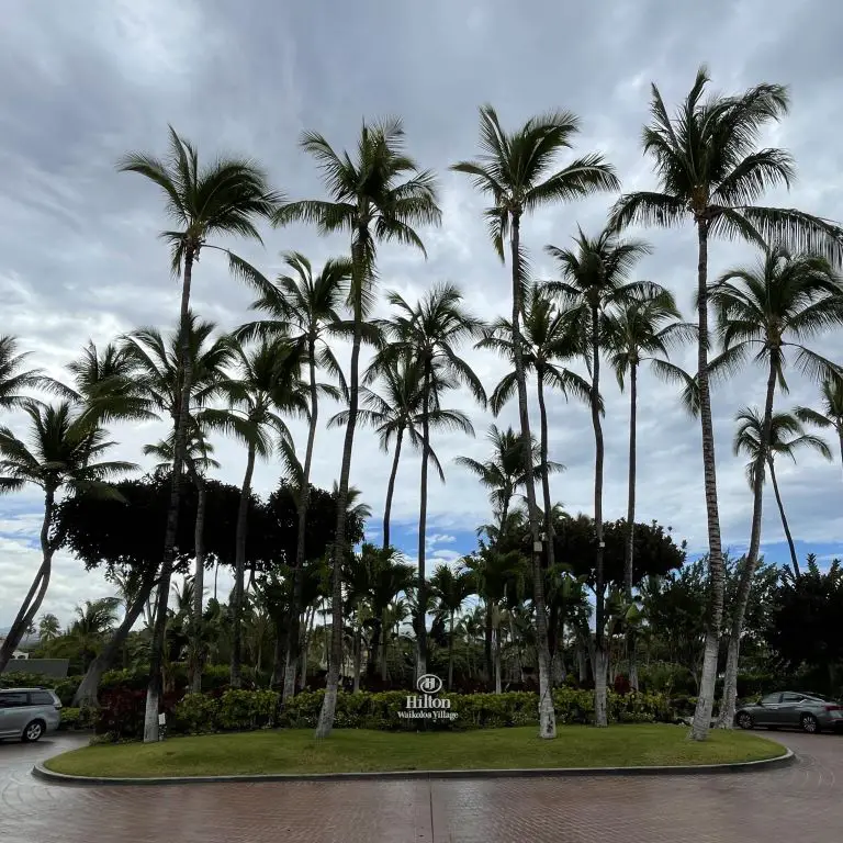 Is Hilton Waikoloa Village Worth it for Families?