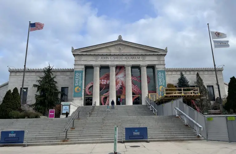 Is the Shedd Aquarium Good for Toddlers?
