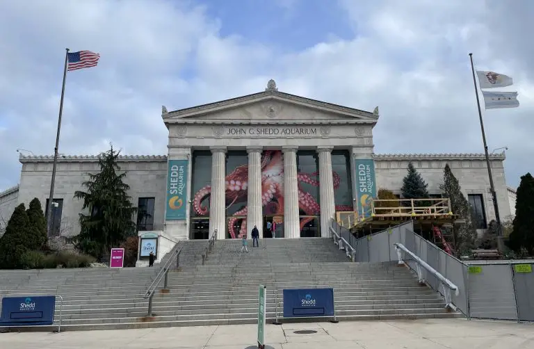 shedd aquarium in chicago il