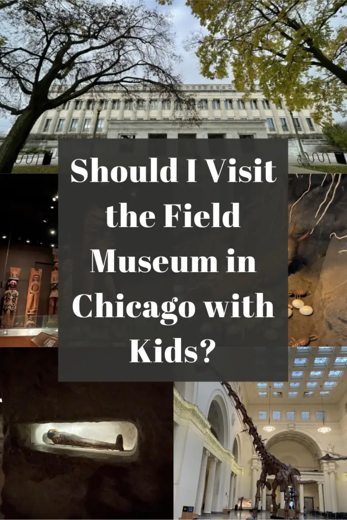 Should I Visit the Field Museum with Kids pin